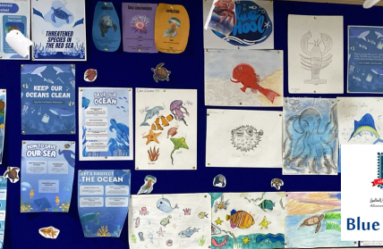Blue Schools Initiative